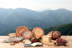 fromage,ossau iraty,découverte,fermes
